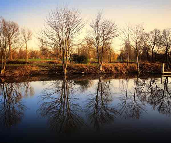 a river bank in winter