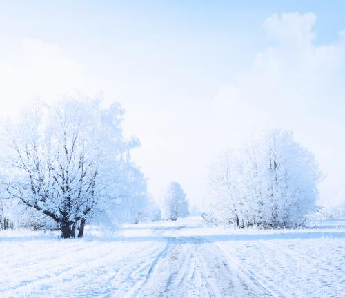 Winter 2021 Newsletter